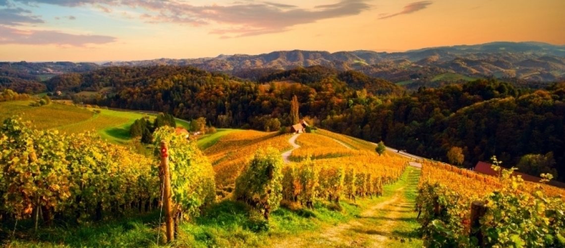 28-09-2022_foliage-in-italia